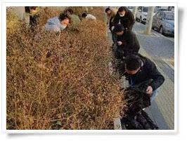 凈美中國從門口開始